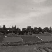 longiano